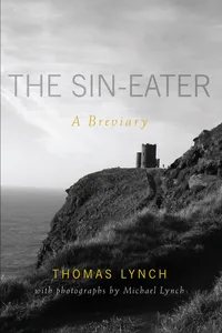 The Sin-eater_cover