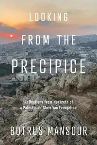 Looking from the Precipice_cover