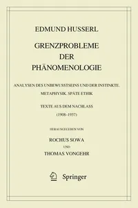 Grenzprobleme der Phänomenologie