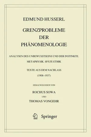 Grenzprobleme der Phänomenologie