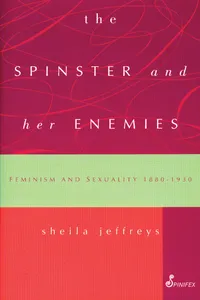 The Spinster and Her Enemies_cover