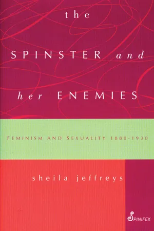 The Spinster and Her Enemies