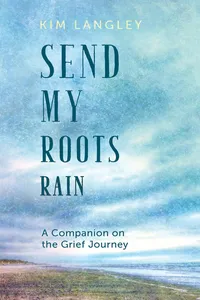Send My Roots Rain_cover