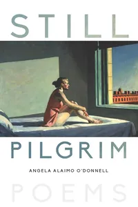 Still Pilgrim_cover