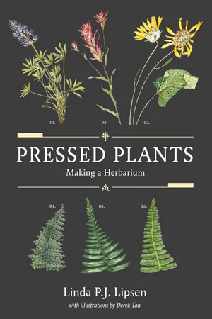 Pressed Plants