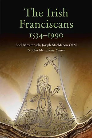 The Irish Franciscans