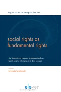 Social Rights as Fundamental Rights_cover