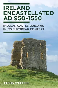 Ireland Encastellated, AD 950–1550_cover