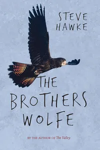 The Brothers Wolfe_cover