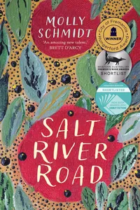 Salt River Road_cover