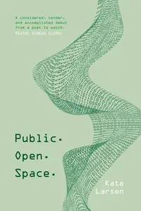 Public. Open. Space_cover