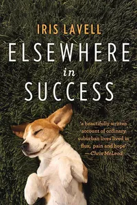 Elsewhere in Success_cover