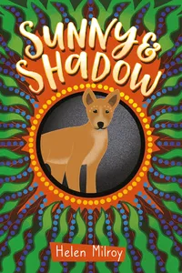 Sunny and Shadow_cover