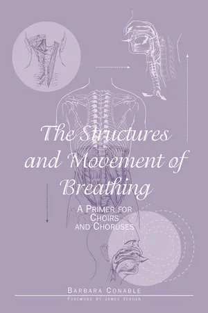The Structures and Movement of Breathing