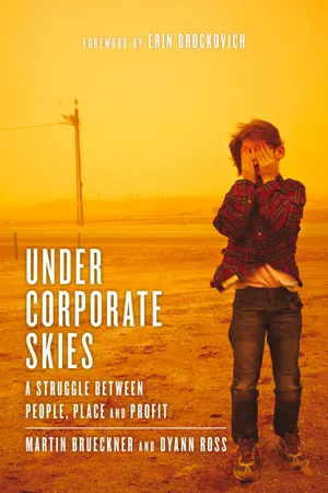 Under Corporate Skies