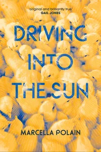 Driving into the Sun_cover