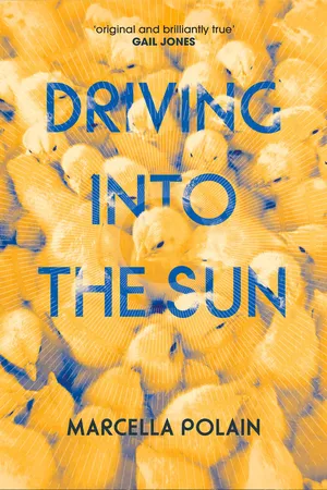 Driving into the Sun