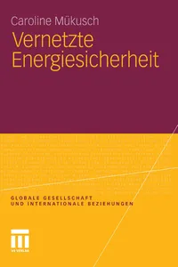 Vernetzte Energiesicherheit_cover