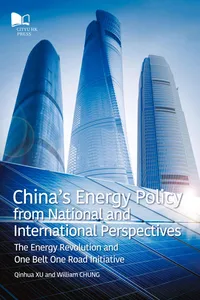 China's Energy Policy from National and International Perspectives_cover