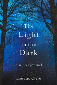 The Light in the Dark_cover