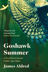 Goshawk Summer_cover