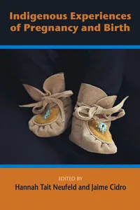 Indigenous Experiences of Preguancy and Birth_cover