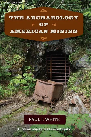The Archaeology of American Mining
