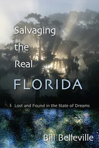 Salvaging the Real Florida_cover