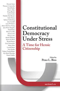 Constitutional Democracy Under Stress_cover