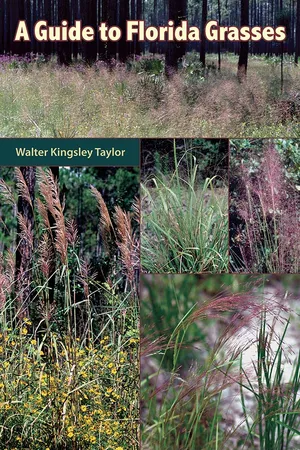A Guide to Florida Grasses