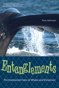 Entanglements_cover