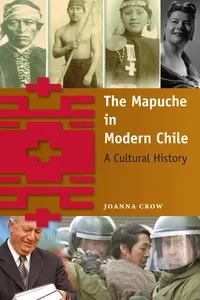 The Mapuche in Modern Chile_cover