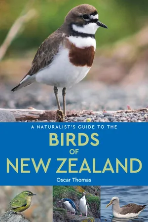 A Naturalist's Guide to the Birds of New Zealand
