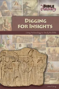 Digging For Insights_cover
