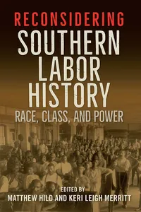 Reconsidering Southern Labor History_cover