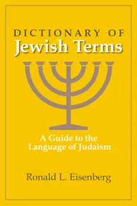 Dictionary of Jewish Terms_cover