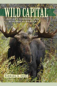 Wild Capital_cover
