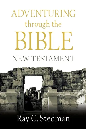 Adventuring Through the Bible: New Testament