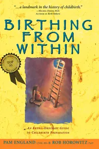 Birthing from Within_cover