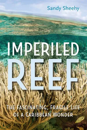 Imperiled Reef