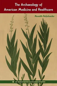 The Archaeology of American Medicine and Healthcare_cover