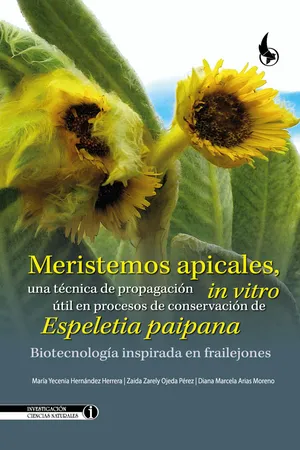 Meristemos apicales, una técnica de propagación in vitro útil en procesos de conservación de Espeletia paipana.