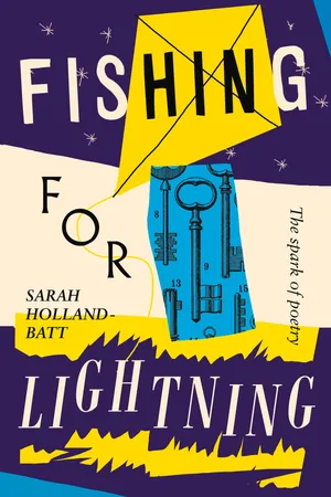 Fishing for Lightning