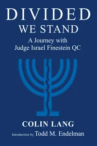 Divided We Stand_cover