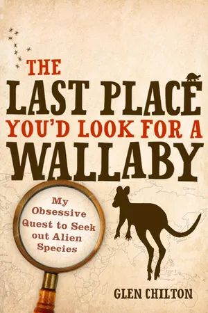 The Last Place You'd Look for a Wallaby