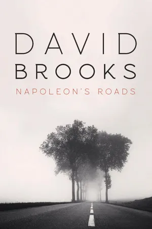 Napoleon's Roads