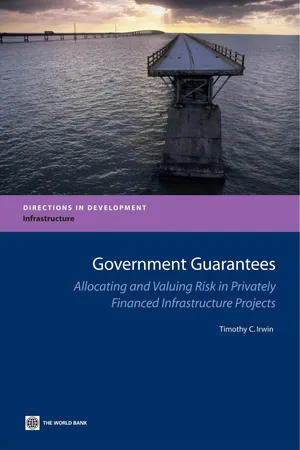 Government Guarantees