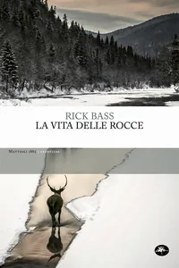La vita delle rocce_cover