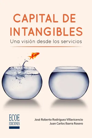 Capital de intangibles