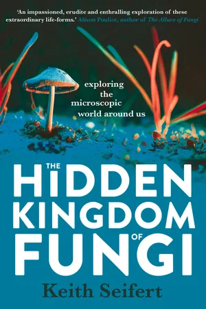 The Hidden Kingdom of Fungi